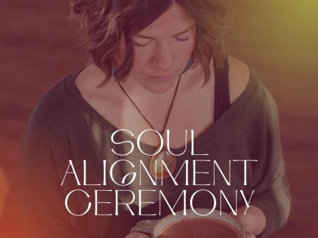 1:1 Soul Alignment Session (90 mins) Online Hot Sale